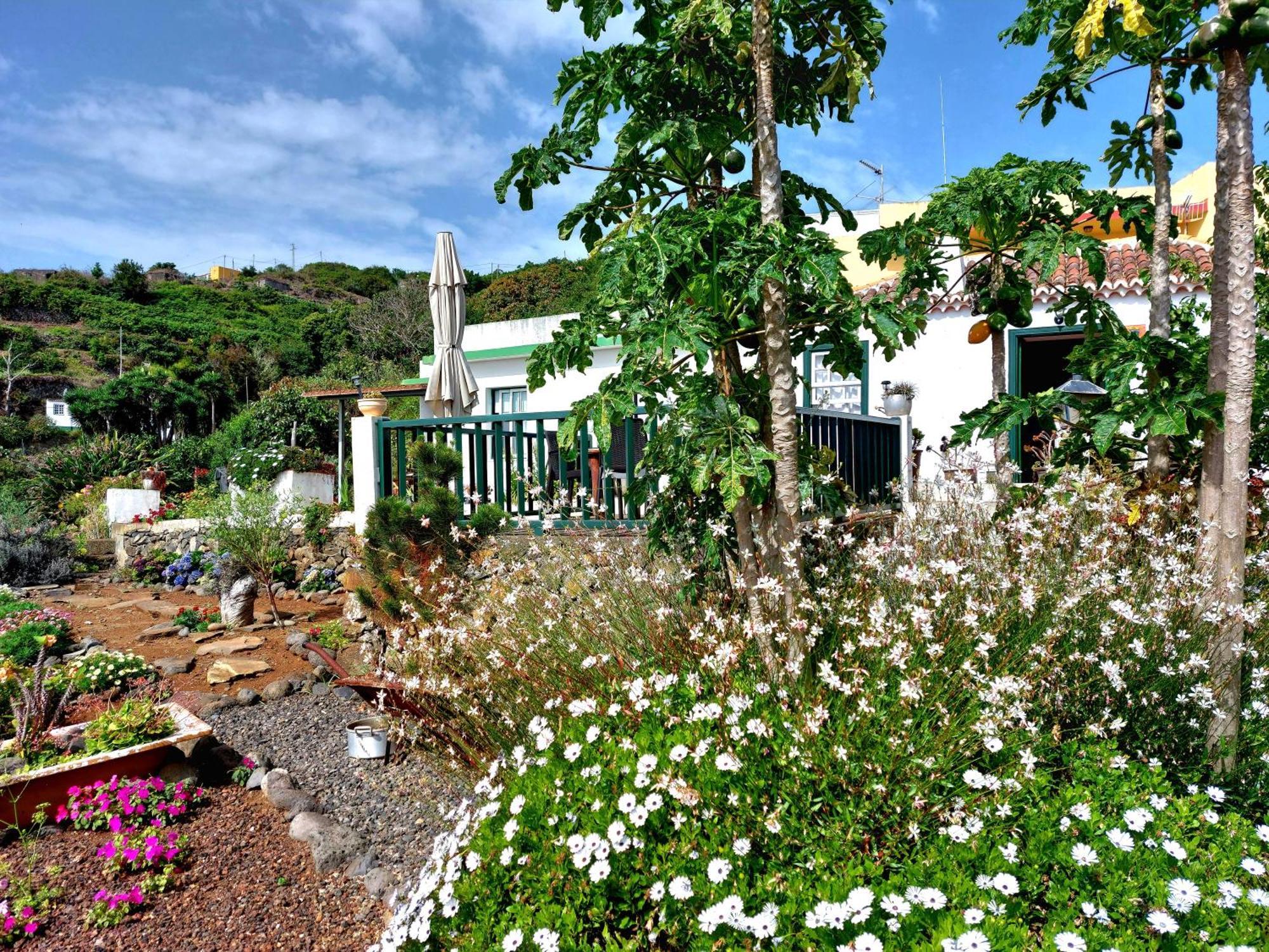 Eloina Villa Barlovento Eksteriør bilde